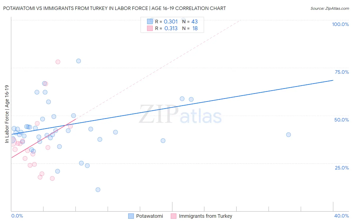 Potawatomi vs Immigrants from Turkey In Labor Force | Age 16-19