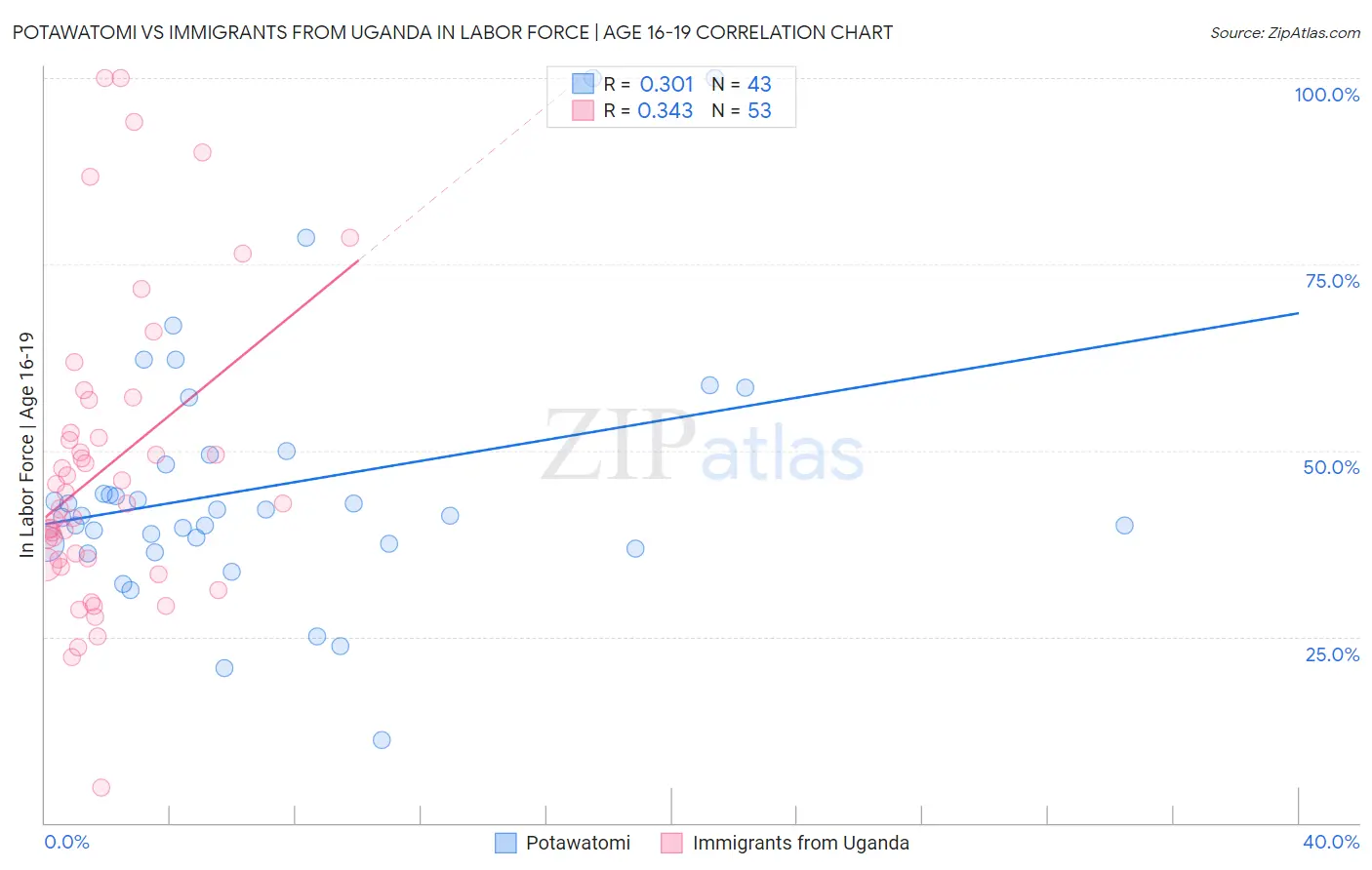 Potawatomi vs Immigrants from Uganda In Labor Force | Age 16-19