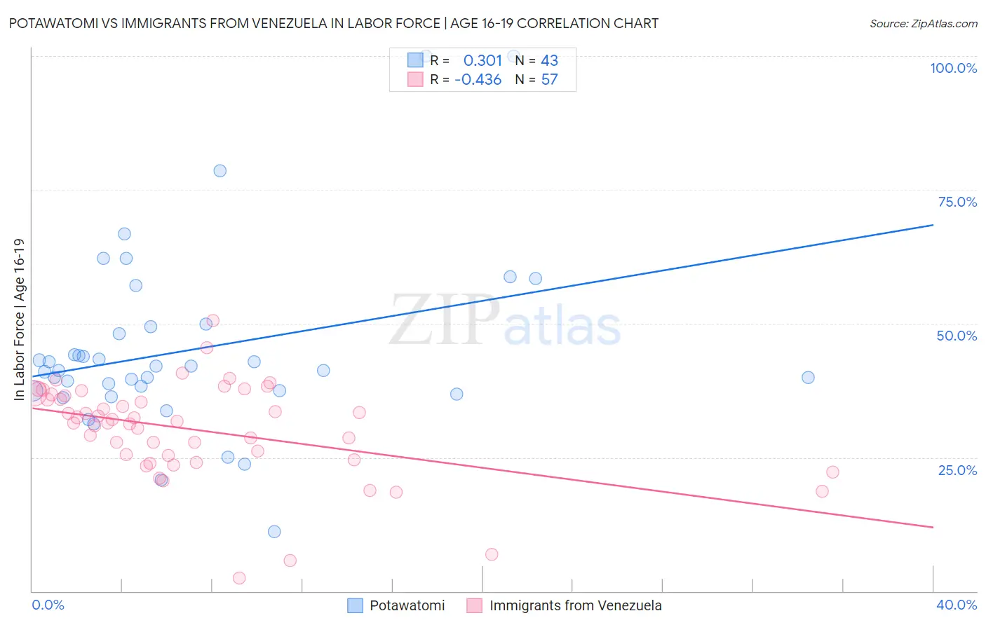 Potawatomi vs Immigrants from Venezuela In Labor Force | Age 16-19