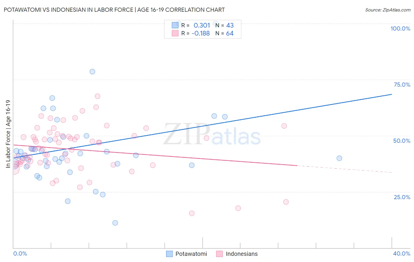 Potawatomi vs Indonesian In Labor Force | Age 16-19
