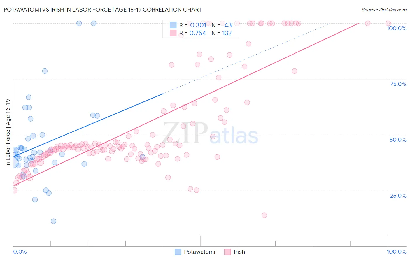 Potawatomi vs Irish In Labor Force | Age 16-19