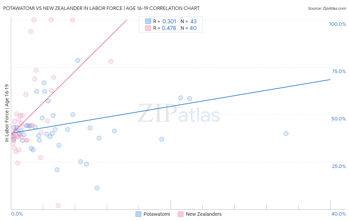 Potawatomi vs New Zealander In Labor Force | Age 16-19