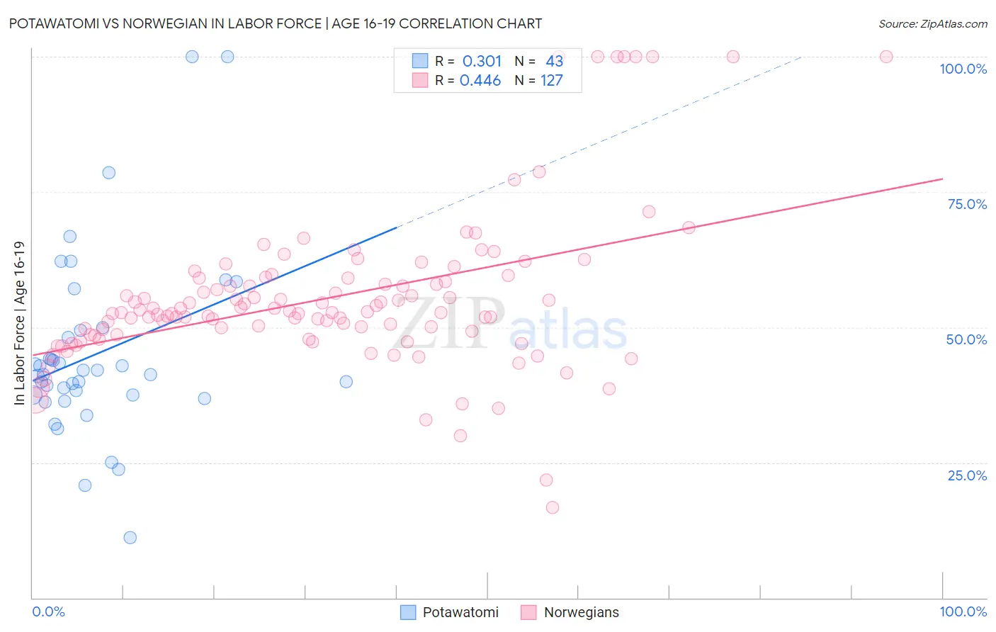 Potawatomi vs Norwegian In Labor Force | Age 16-19