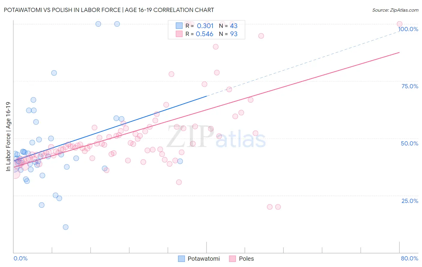 Potawatomi vs Polish In Labor Force | Age 16-19