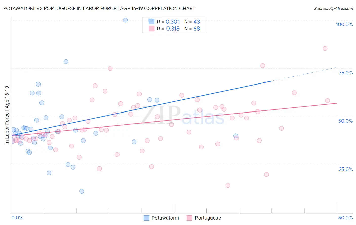 Potawatomi vs Portuguese In Labor Force | Age 16-19