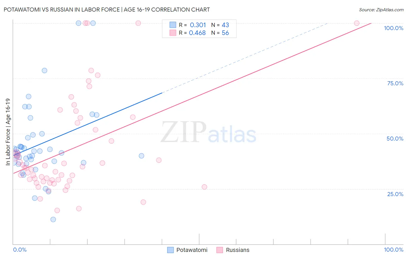 Potawatomi vs Russian In Labor Force | Age 16-19