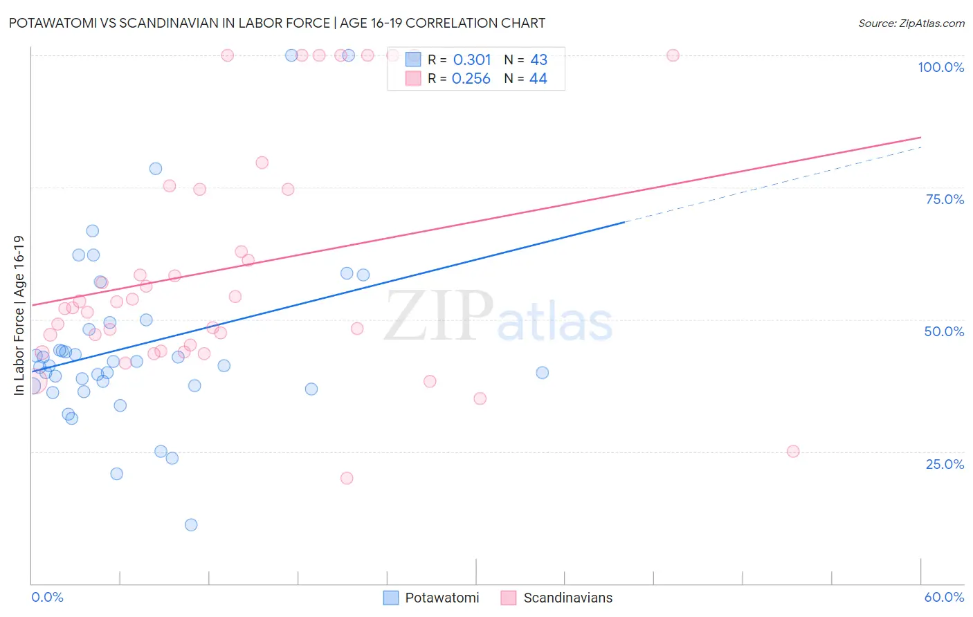Potawatomi vs Scandinavian In Labor Force | Age 16-19