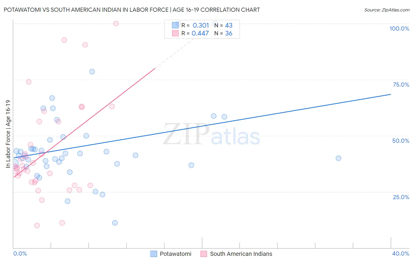 Potawatomi vs South American Indian In Labor Force | Age 16-19