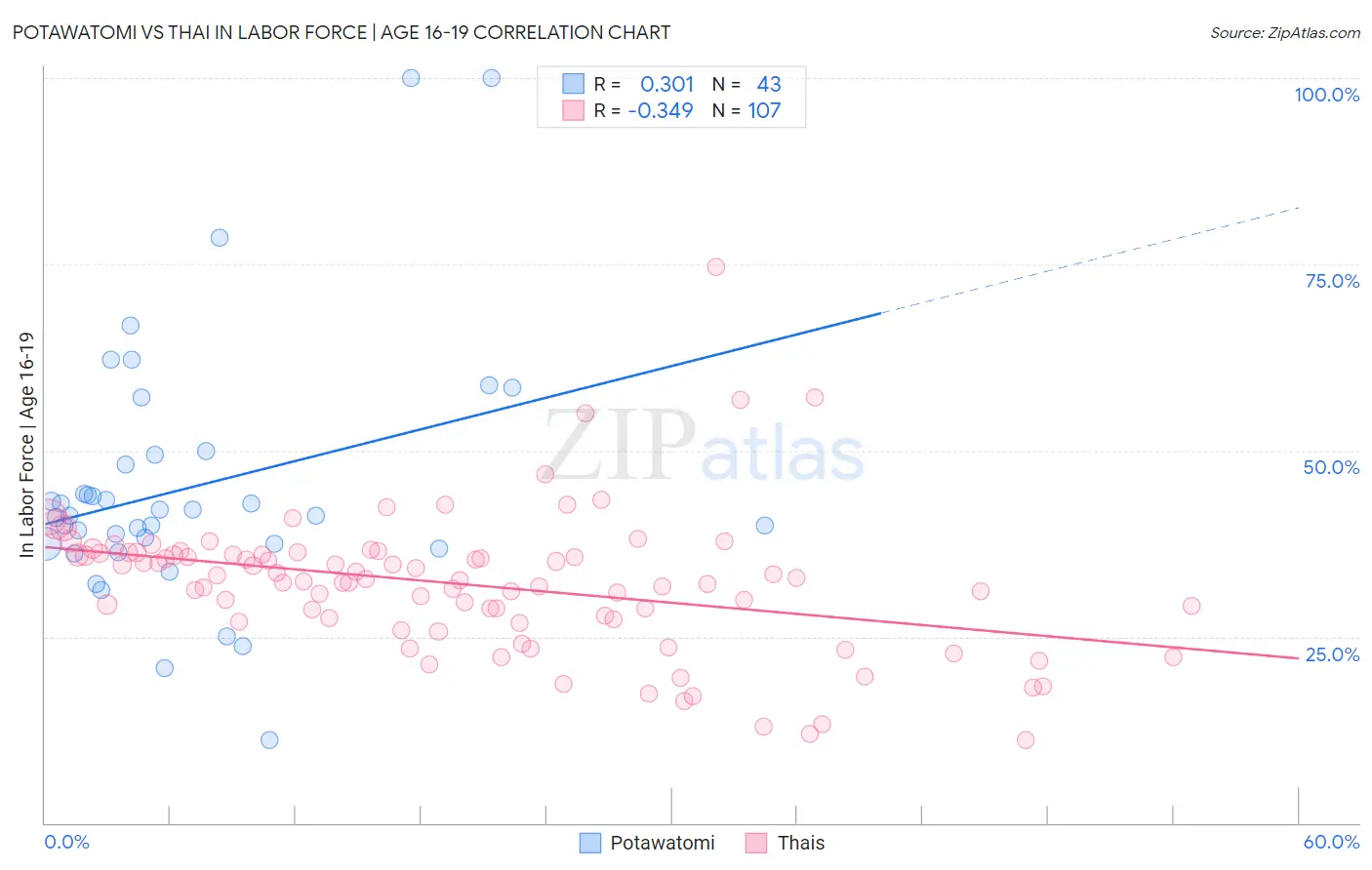 Potawatomi vs Thai In Labor Force | Age 16-19