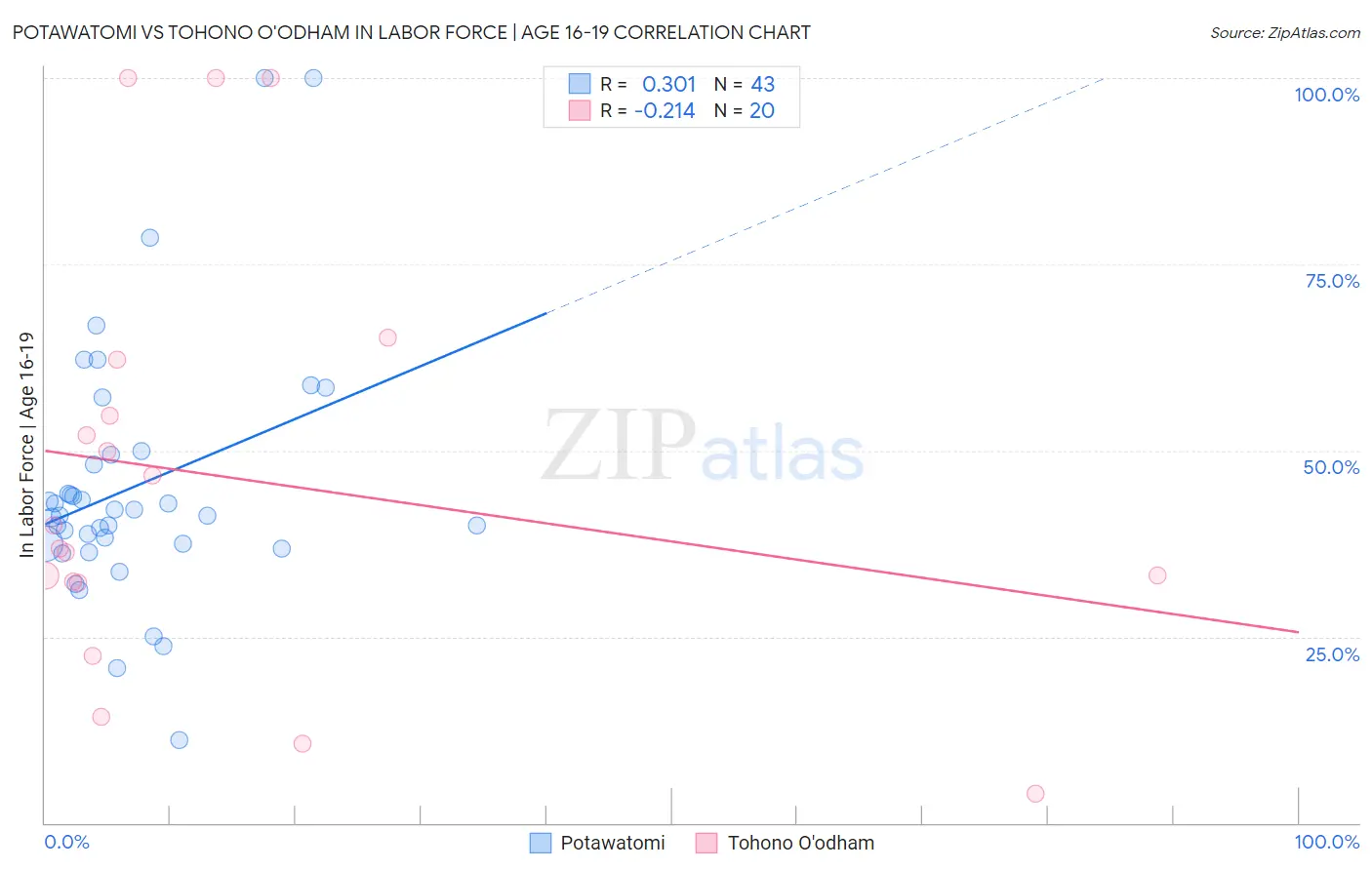 Potawatomi vs Tohono O'odham In Labor Force | Age 16-19