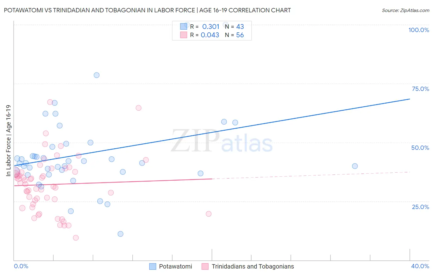 Potawatomi vs Trinidadian and Tobagonian In Labor Force | Age 16-19