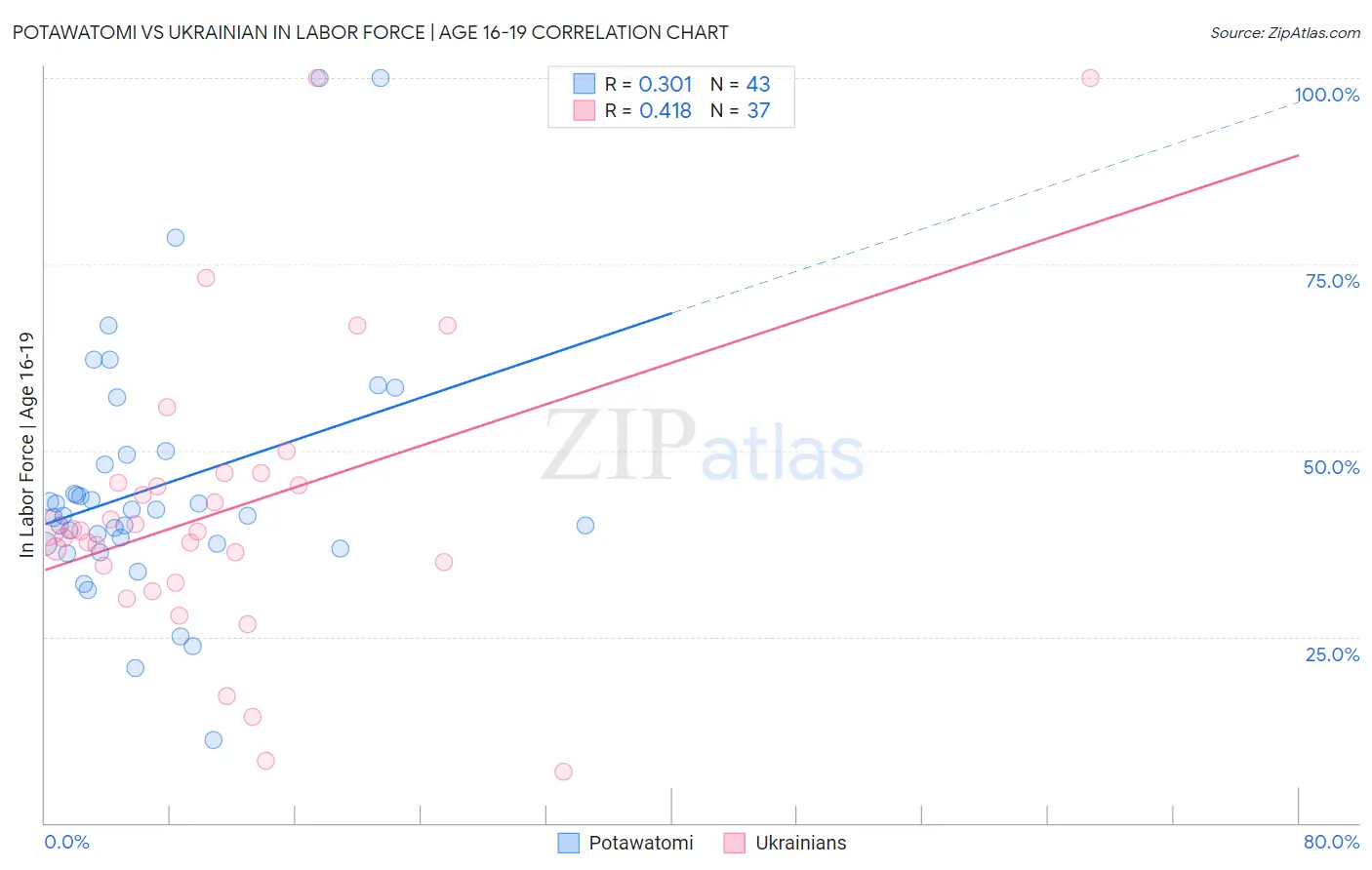Potawatomi vs Ukrainian In Labor Force | Age 16-19