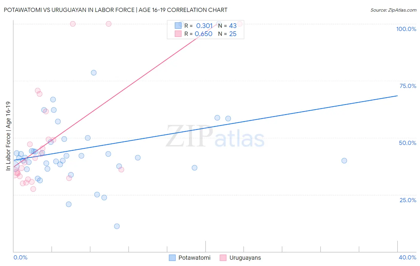 Potawatomi vs Uruguayan In Labor Force | Age 16-19