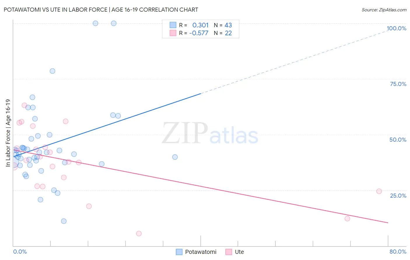 Potawatomi vs Ute In Labor Force | Age 16-19