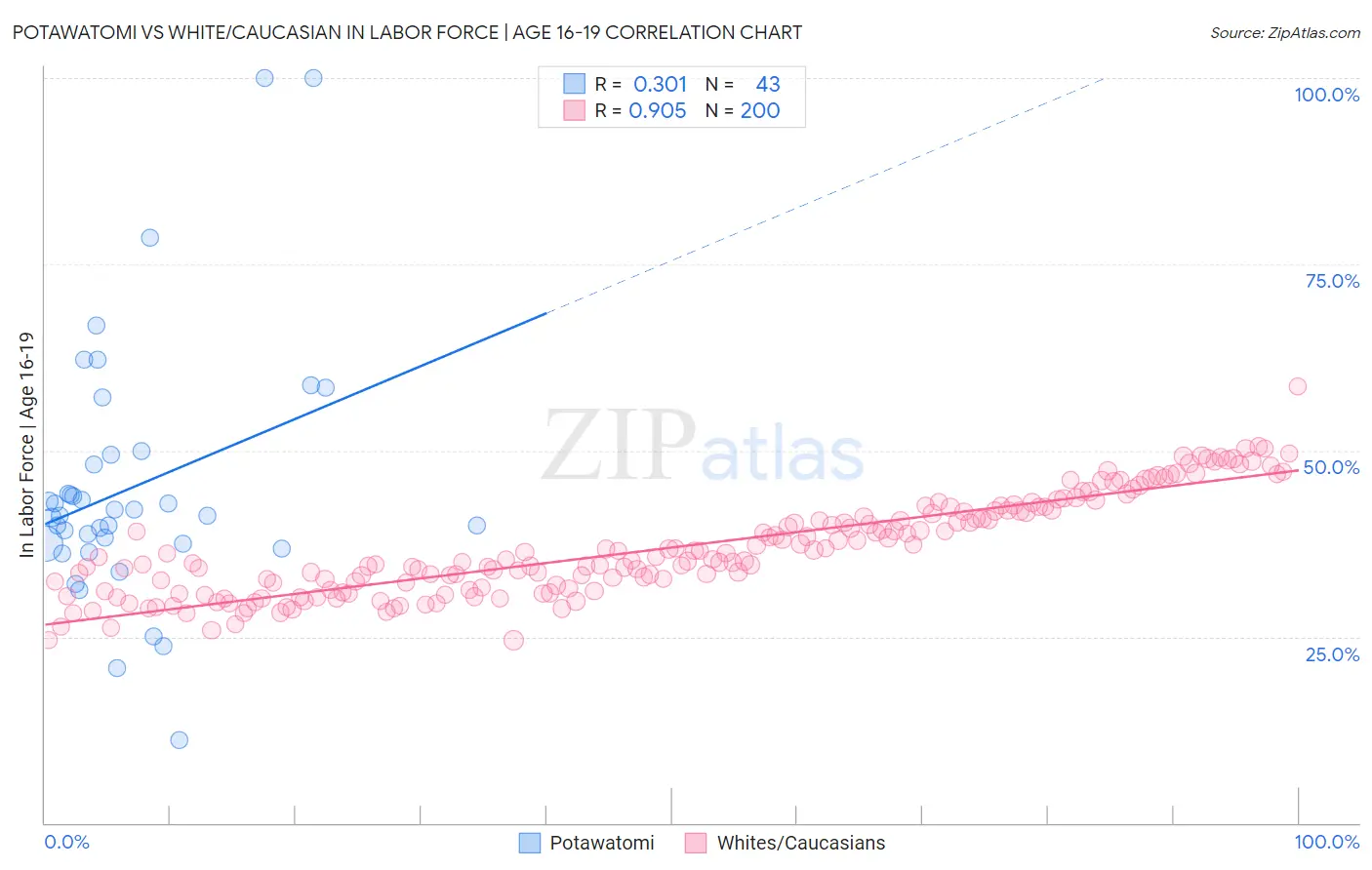 Potawatomi vs White/Caucasian In Labor Force | Age 16-19