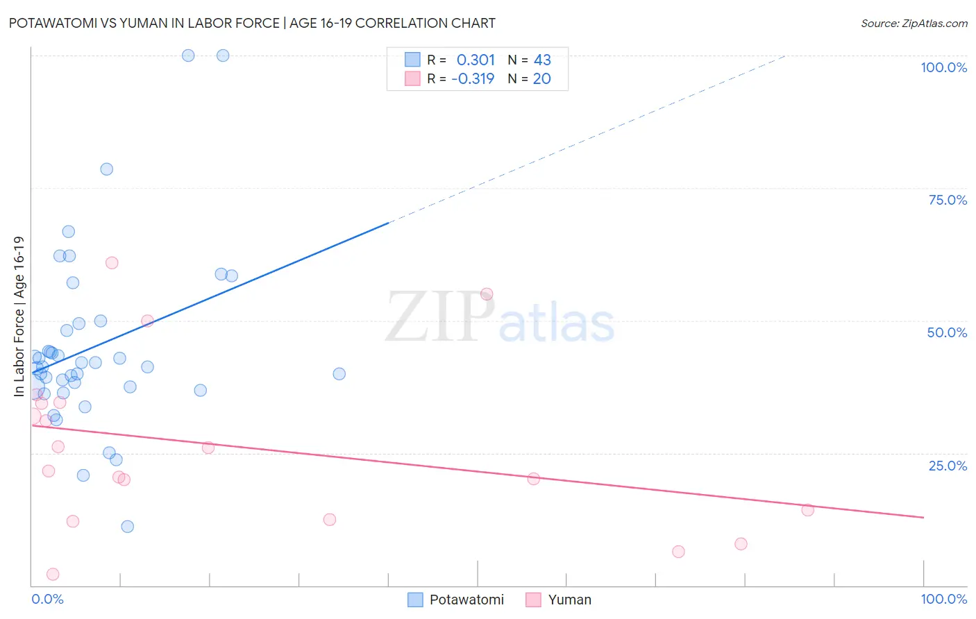 Potawatomi vs Yuman In Labor Force | Age 16-19