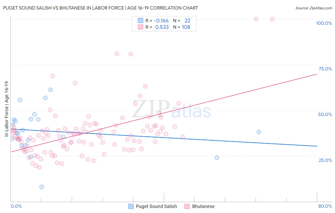 Puget Sound Salish vs Bhutanese In Labor Force | Age 16-19