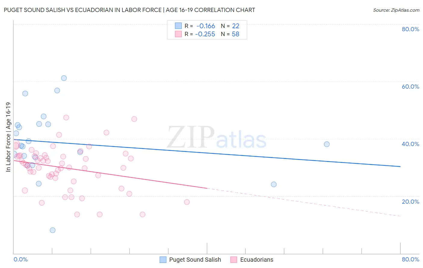 Puget Sound Salish vs Ecuadorian In Labor Force | Age 16-19