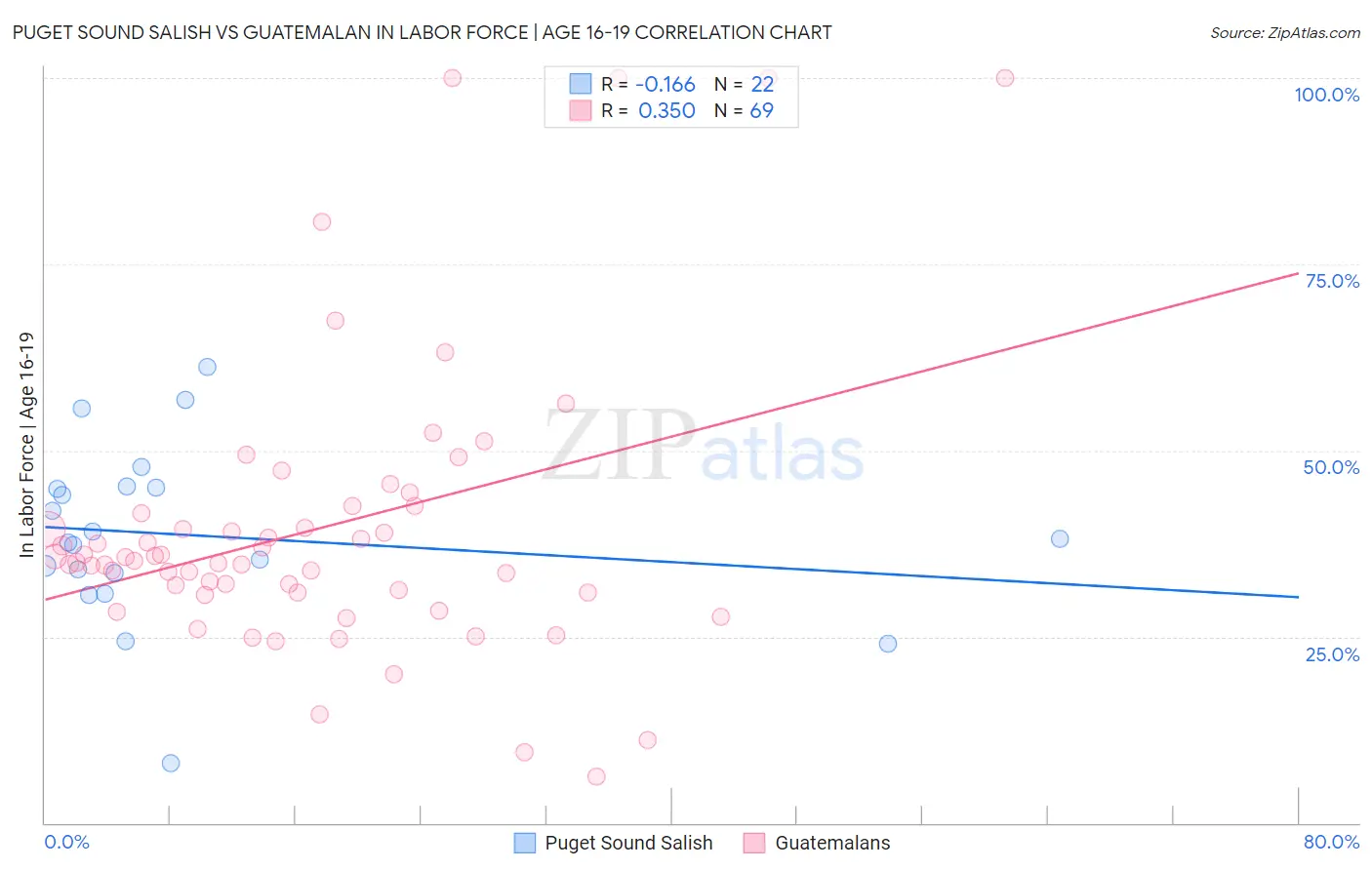 Puget Sound Salish vs Guatemalan In Labor Force | Age 16-19