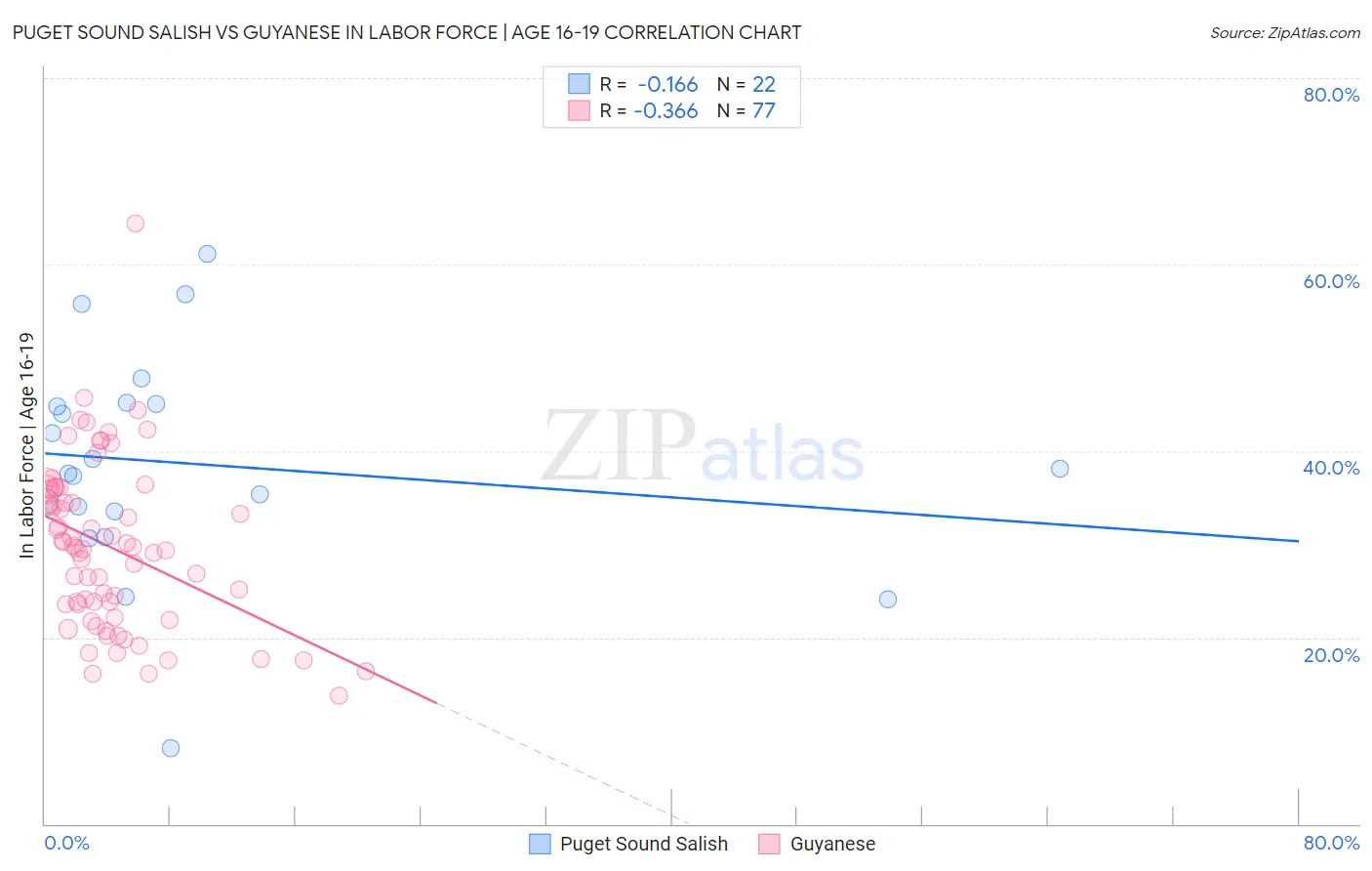Puget Sound Salish vs Guyanese In Labor Force | Age 16-19