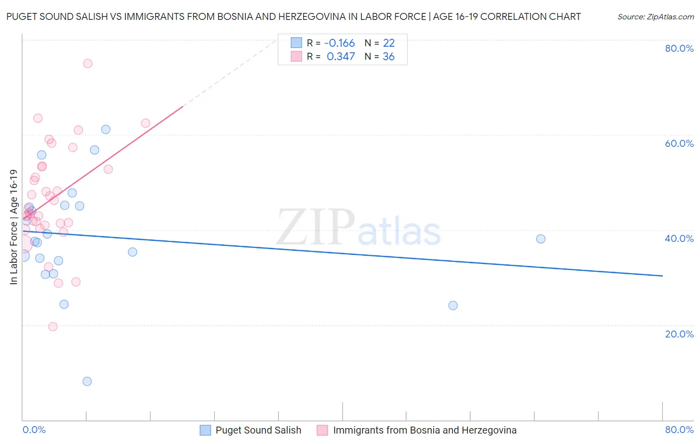 Puget Sound Salish vs Immigrants from Bosnia and Herzegovina In Labor Force | Age 16-19