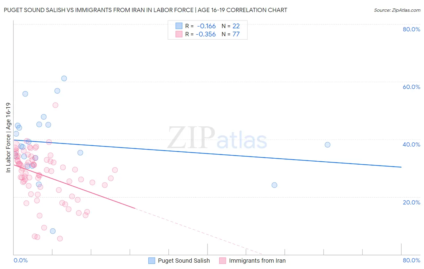 Puget Sound Salish vs Immigrants from Iran In Labor Force | Age 16-19