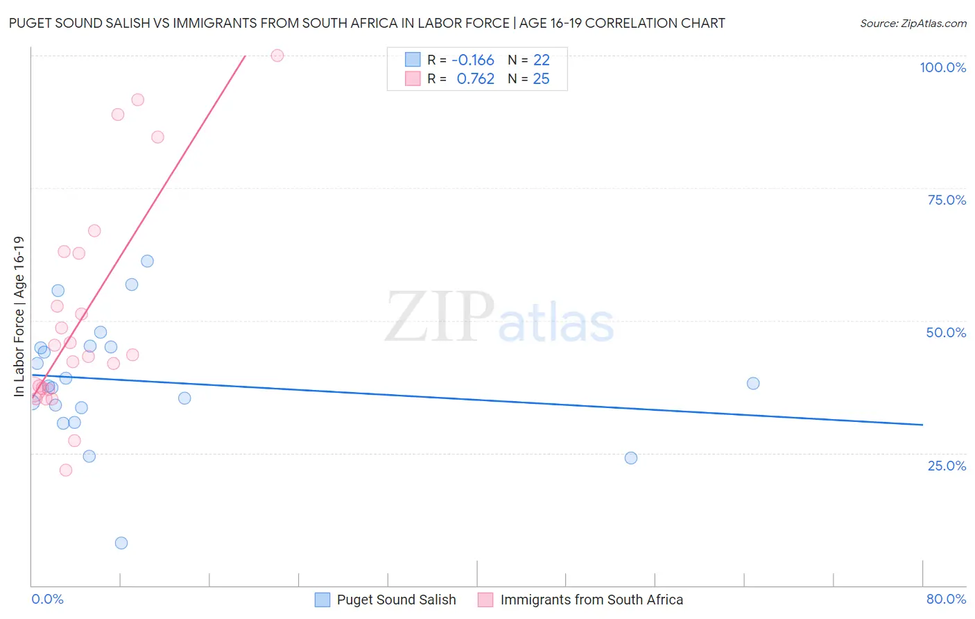 Puget Sound Salish vs Immigrants from South Africa In Labor Force | Age 16-19