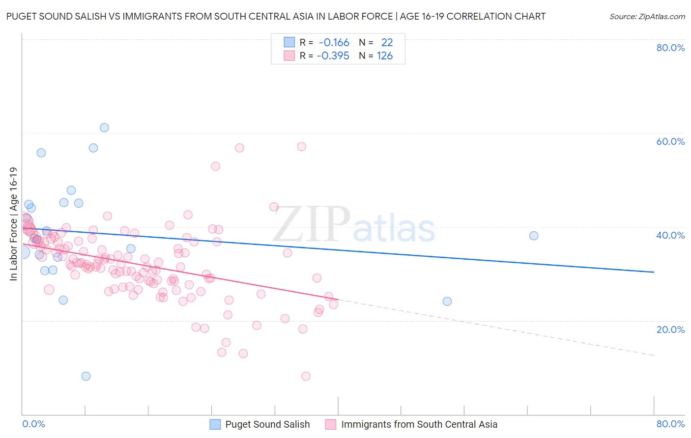 Puget Sound Salish vs Immigrants from South Central Asia In Labor Force | Age 16-19