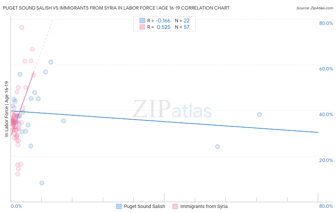 Puget Sound Salish vs Immigrants from Syria In Labor Force | Age 16-19