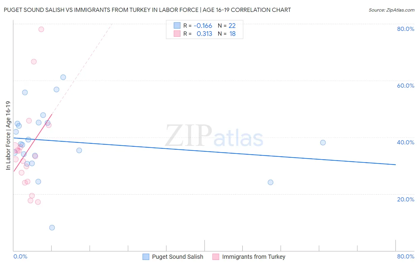 Puget Sound Salish vs Immigrants from Turkey In Labor Force | Age 16-19