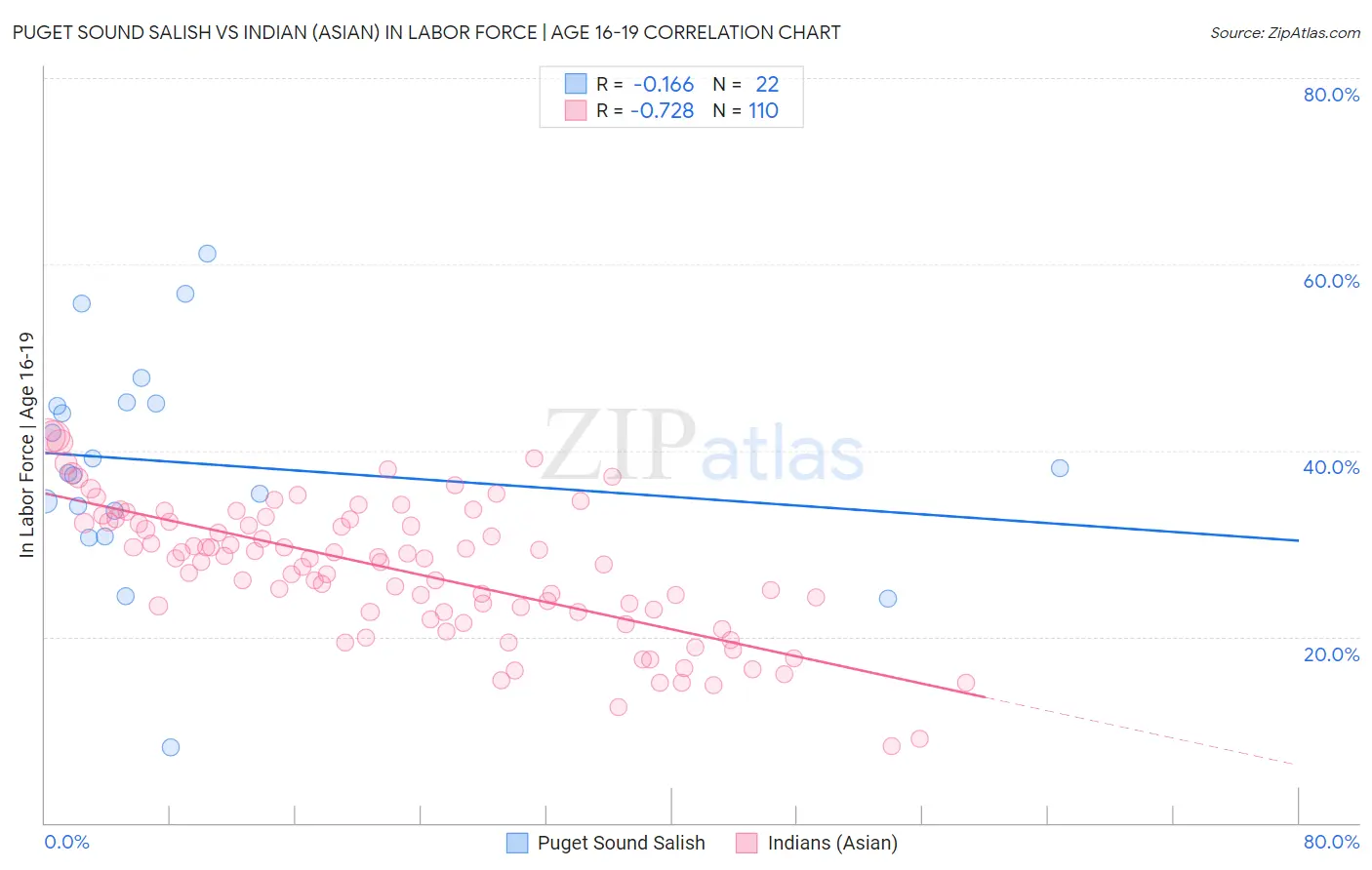 Puget Sound Salish vs Indian (Asian) In Labor Force | Age 16-19