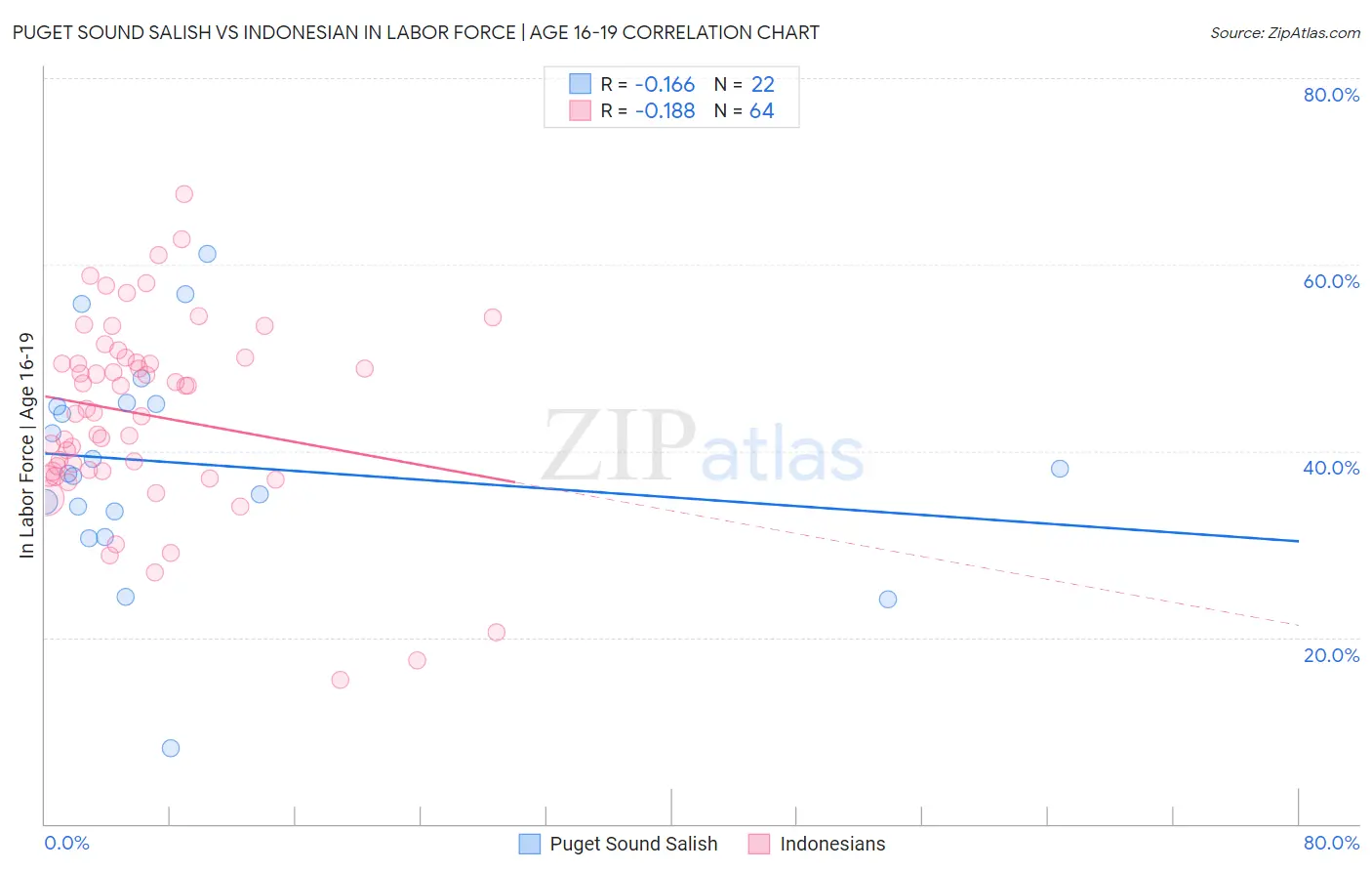 Puget Sound Salish vs Indonesian In Labor Force | Age 16-19
