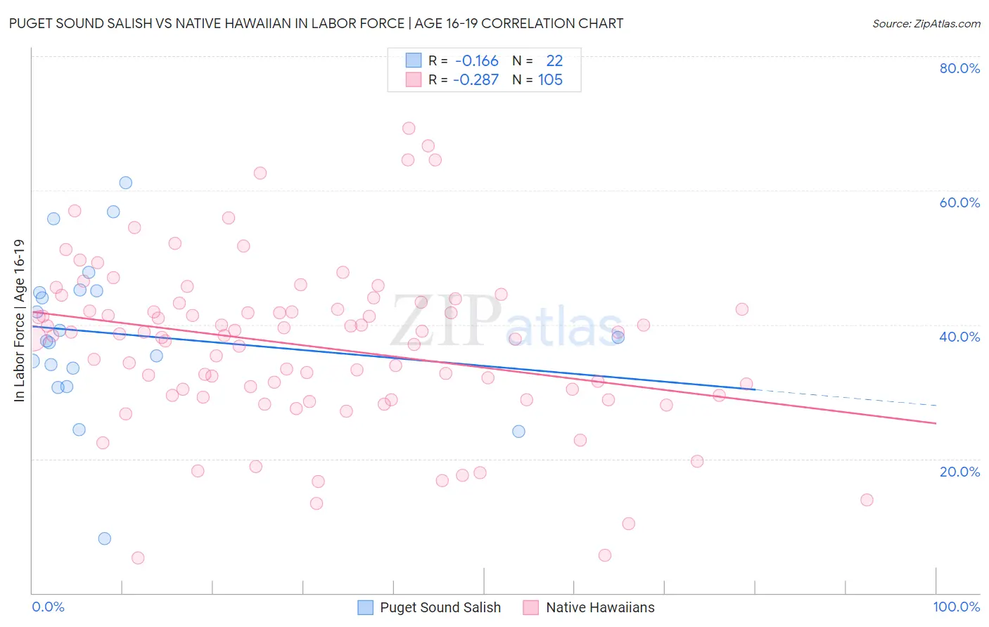 Puget Sound Salish vs Native Hawaiian In Labor Force | Age 16-19