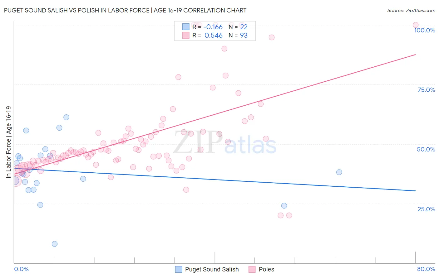 Puget Sound Salish vs Polish In Labor Force | Age 16-19