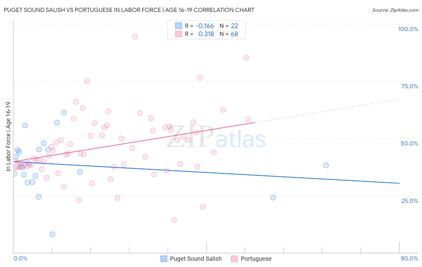 Puget Sound Salish vs Portuguese In Labor Force | Age 16-19