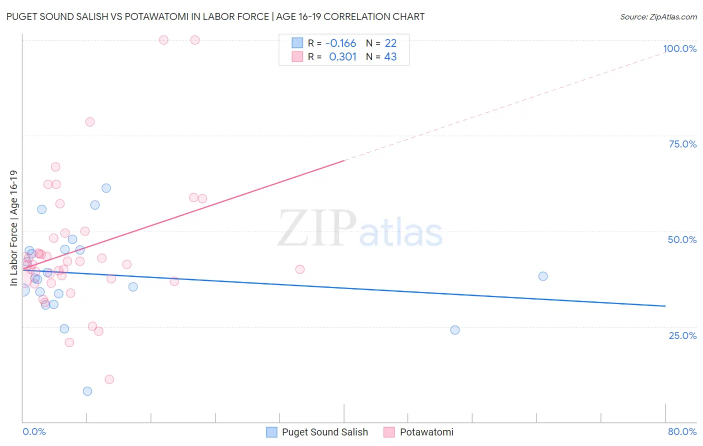 Puget Sound Salish vs Potawatomi In Labor Force | Age 16-19