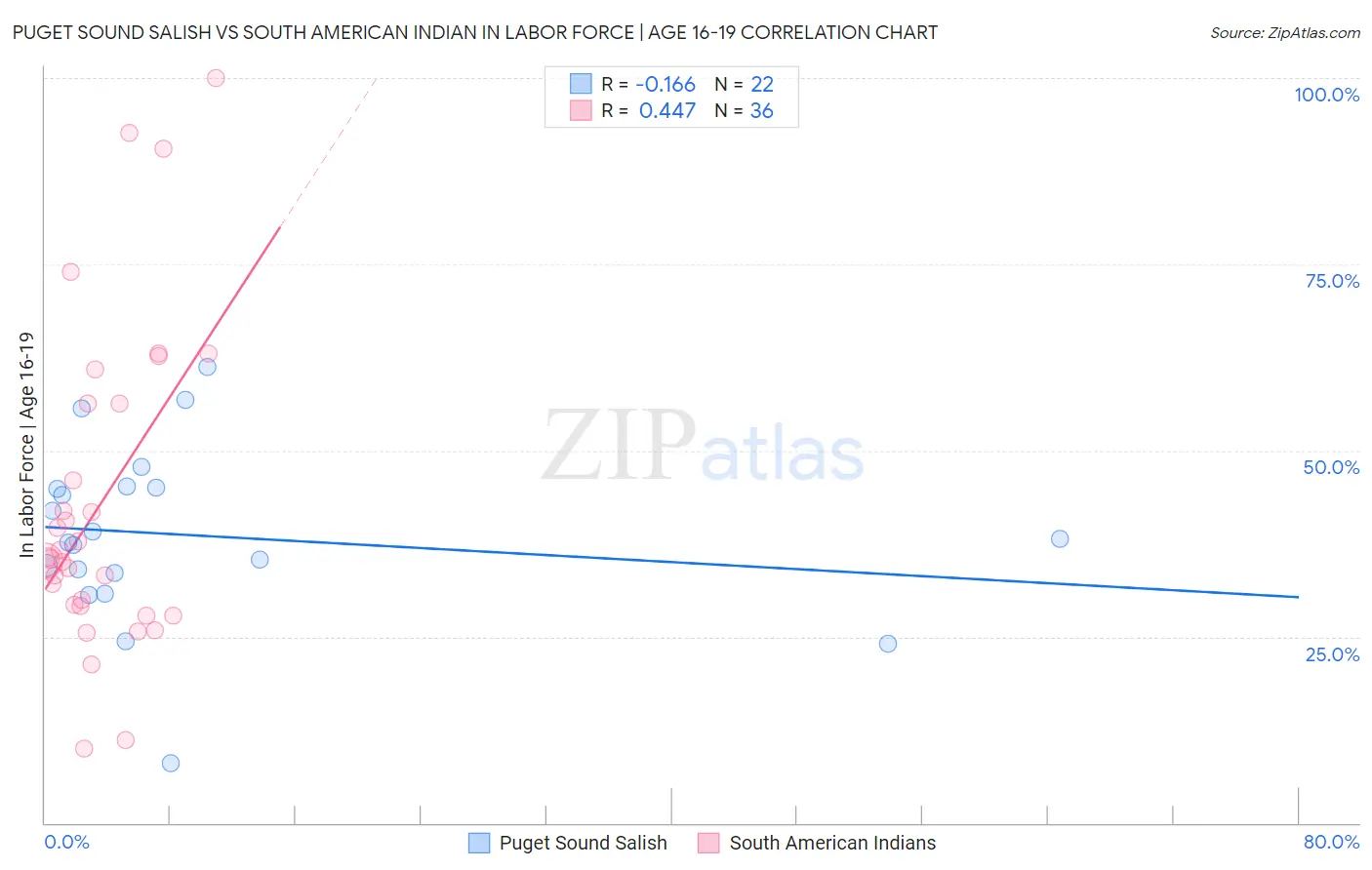 Puget Sound Salish vs South American Indian In Labor Force | Age 16-19