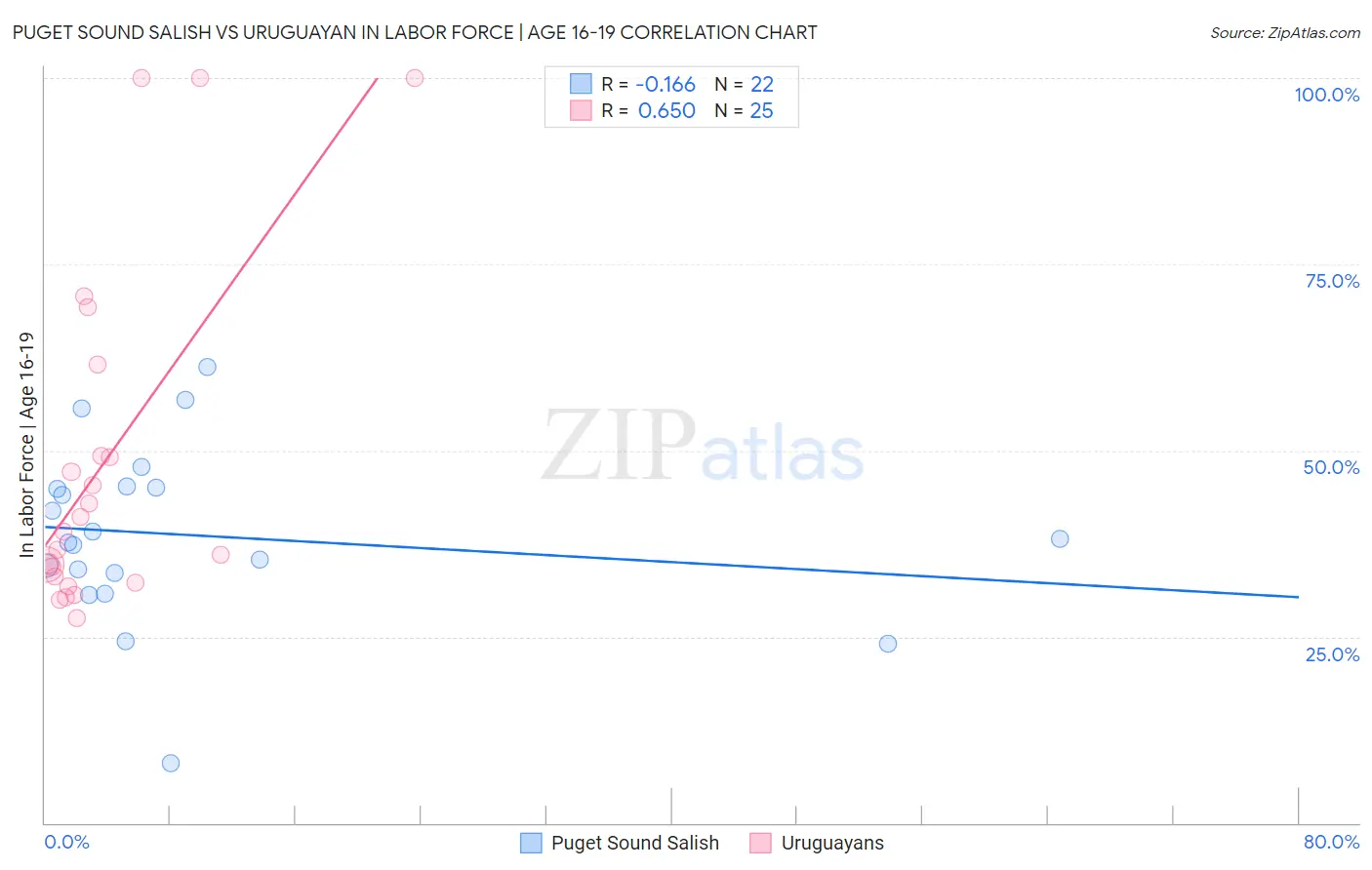 Puget Sound Salish vs Uruguayan In Labor Force | Age 16-19