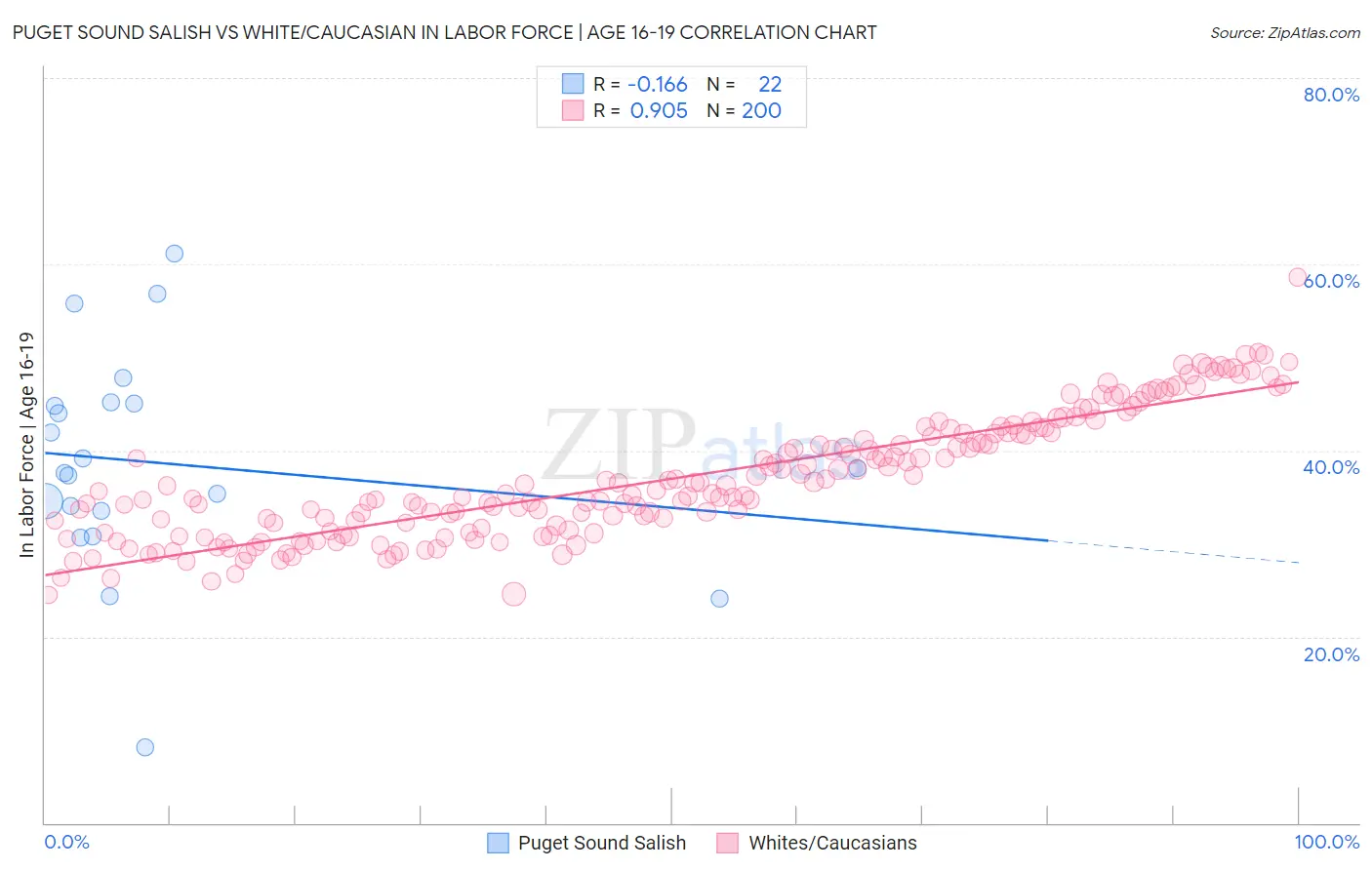 Puget Sound Salish vs White/Caucasian In Labor Force | Age 16-19