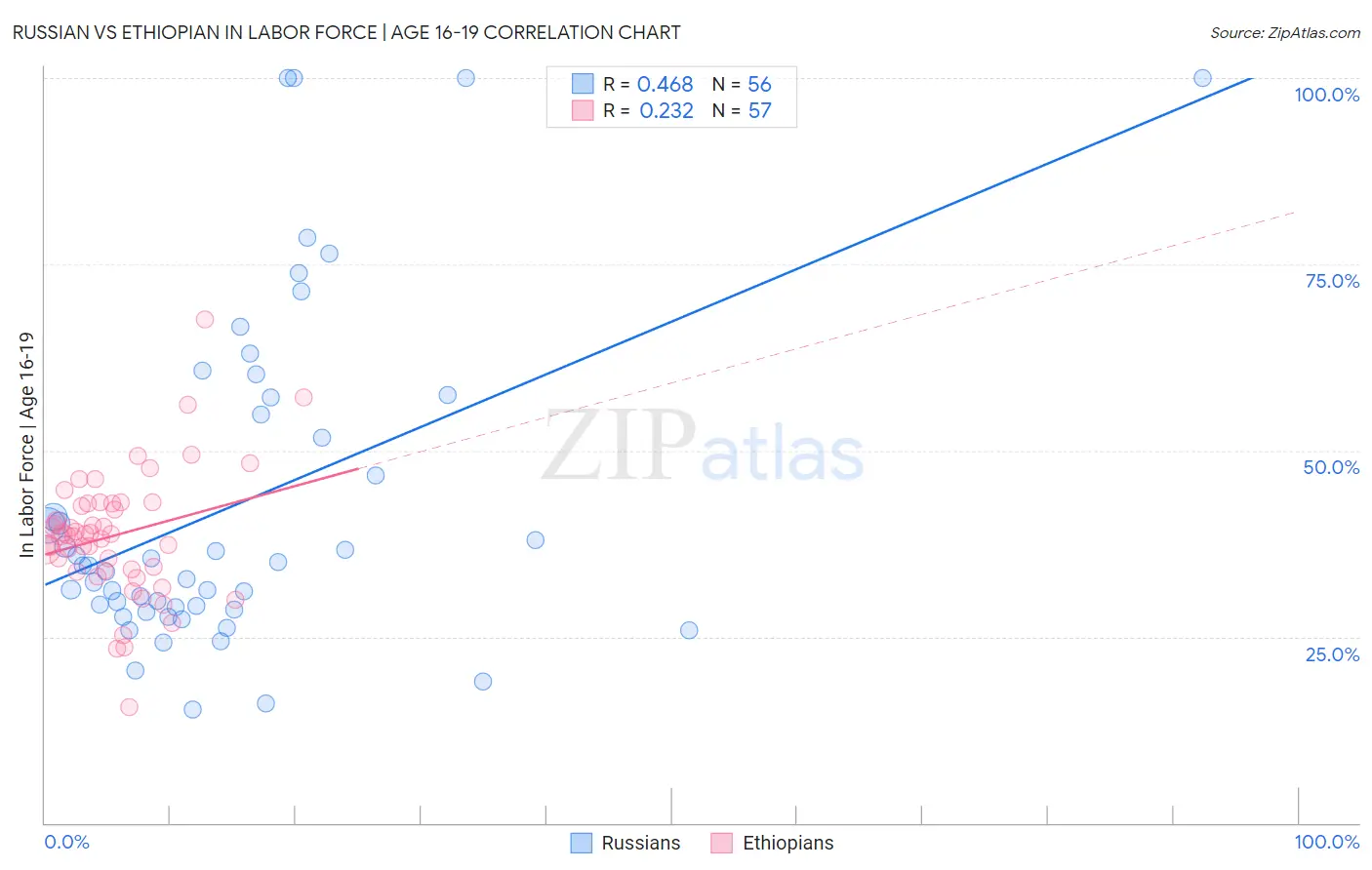 Russian vs Ethiopian In Labor Force | Age 16-19