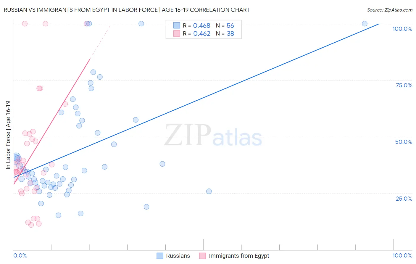 Russian vs Immigrants from Egypt In Labor Force | Age 16-19