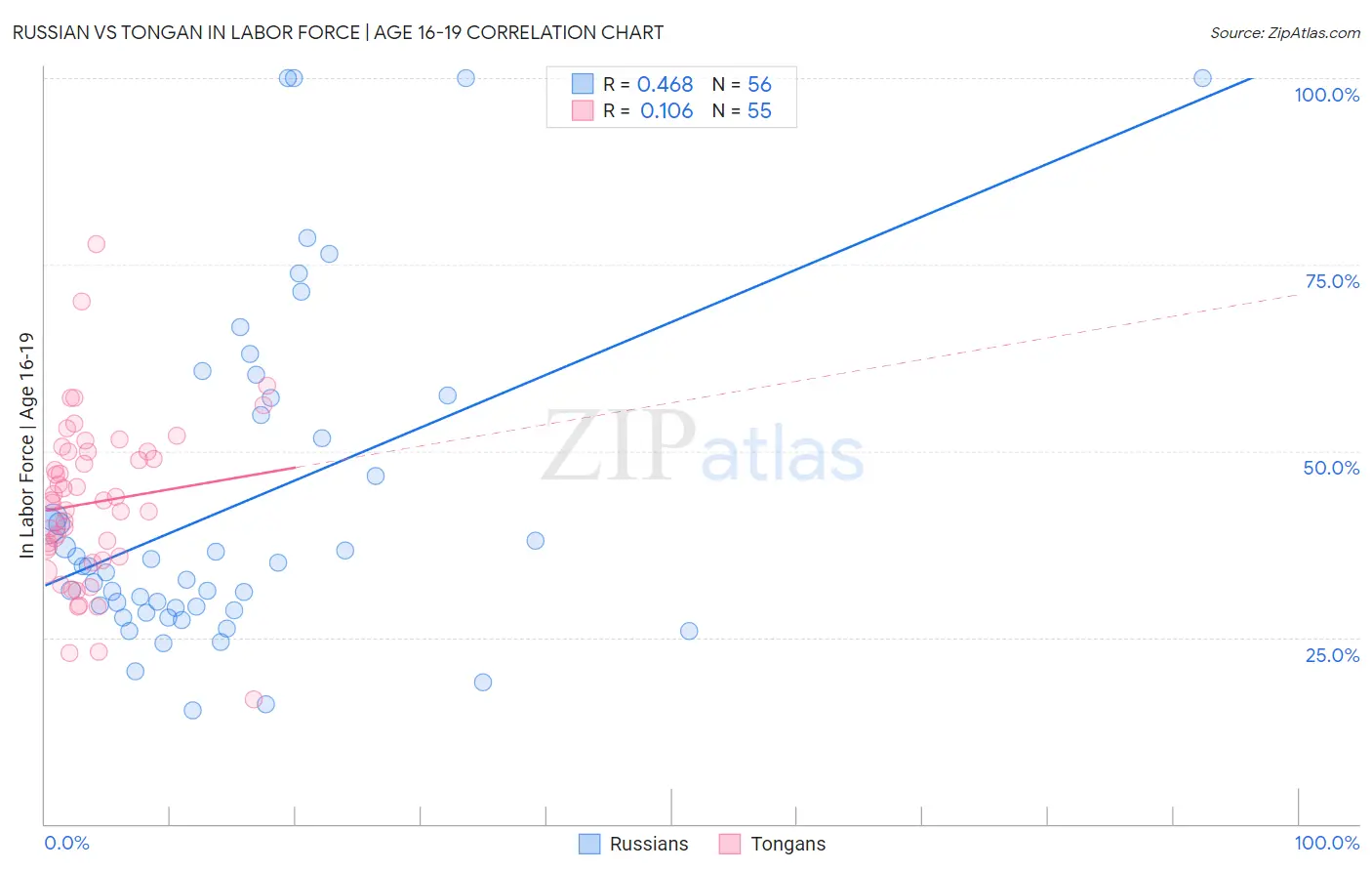 Russian vs Tongan In Labor Force | Age 16-19