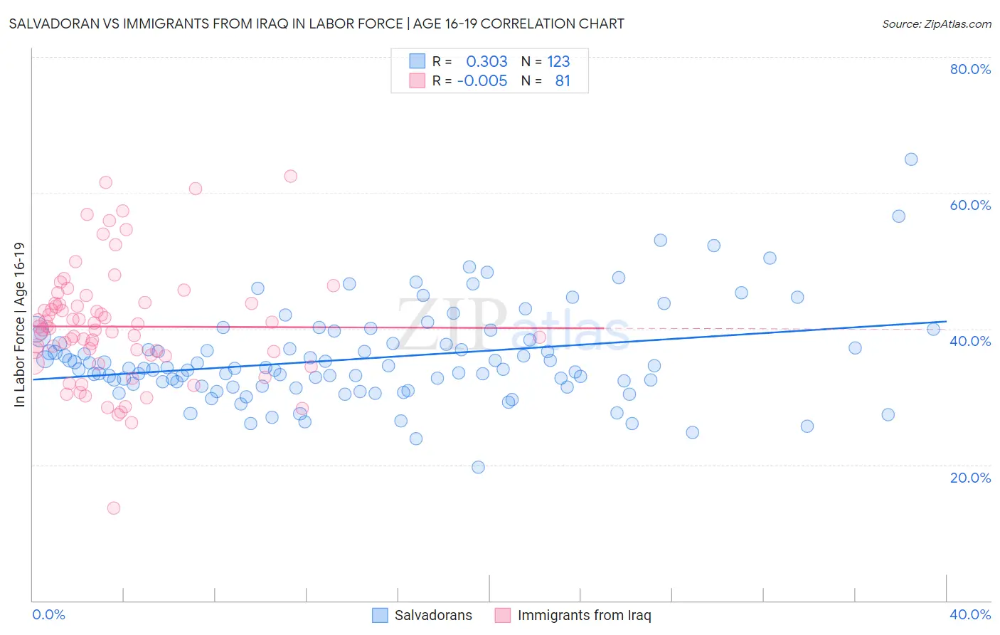 Salvadoran vs Immigrants from Iraq In Labor Force | Age 16-19