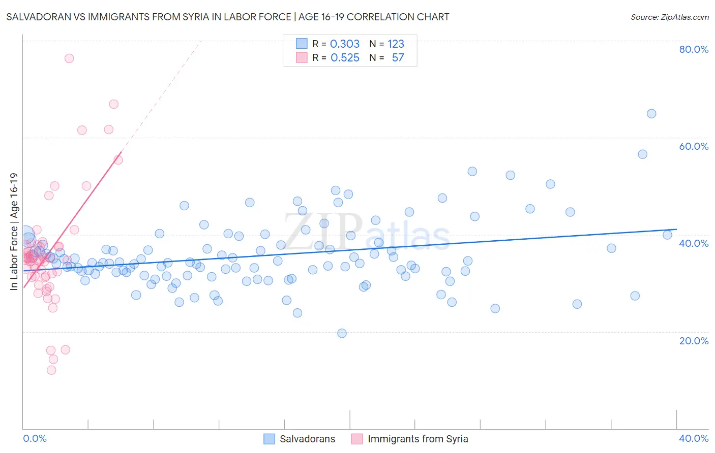 Salvadoran vs Immigrants from Syria In Labor Force | Age 16-19