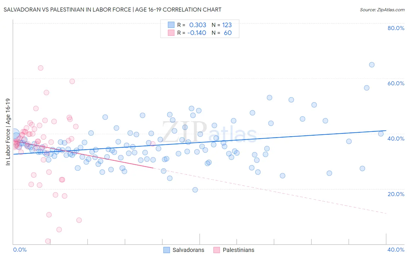 Salvadoran vs Palestinian In Labor Force | Age 16-19