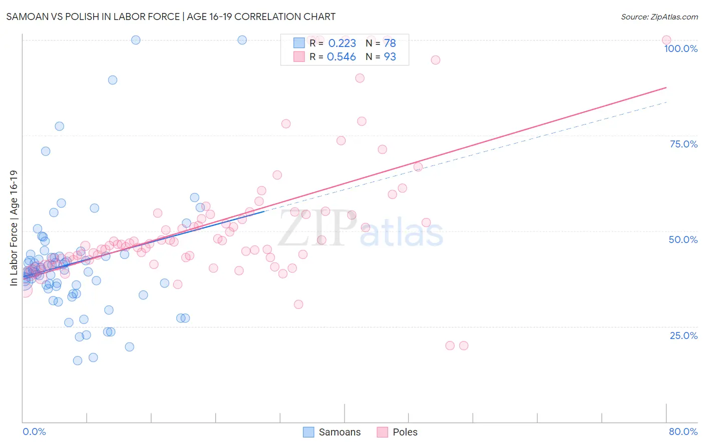 Samoan vs Polish In Labor Force | Age 16-19