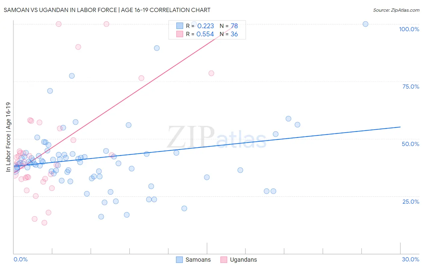 Samoan vs Ugandan In Labor Force | Age 16-19