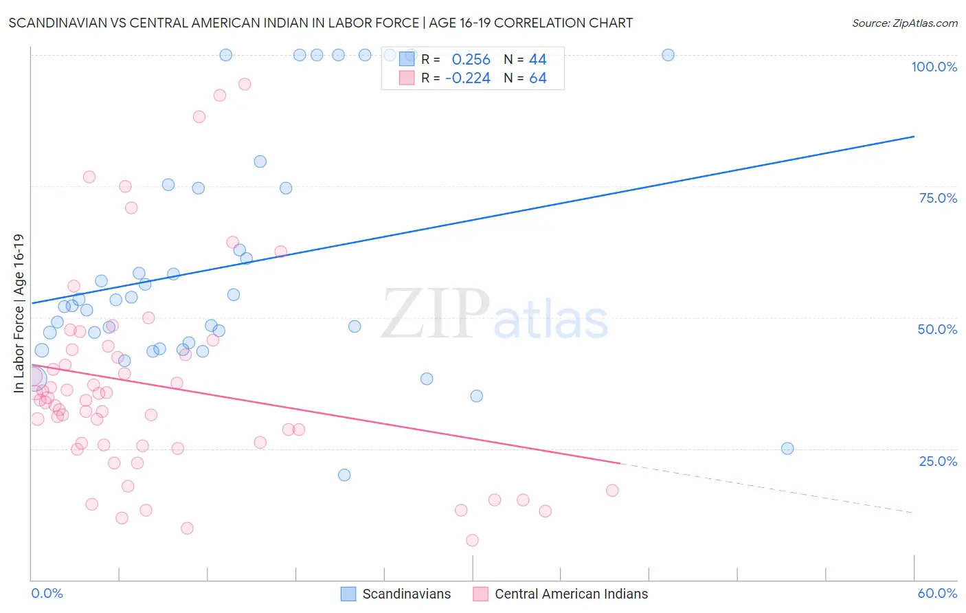 Scandinavian vs Central American Indian In Labor Force | Age 16-19