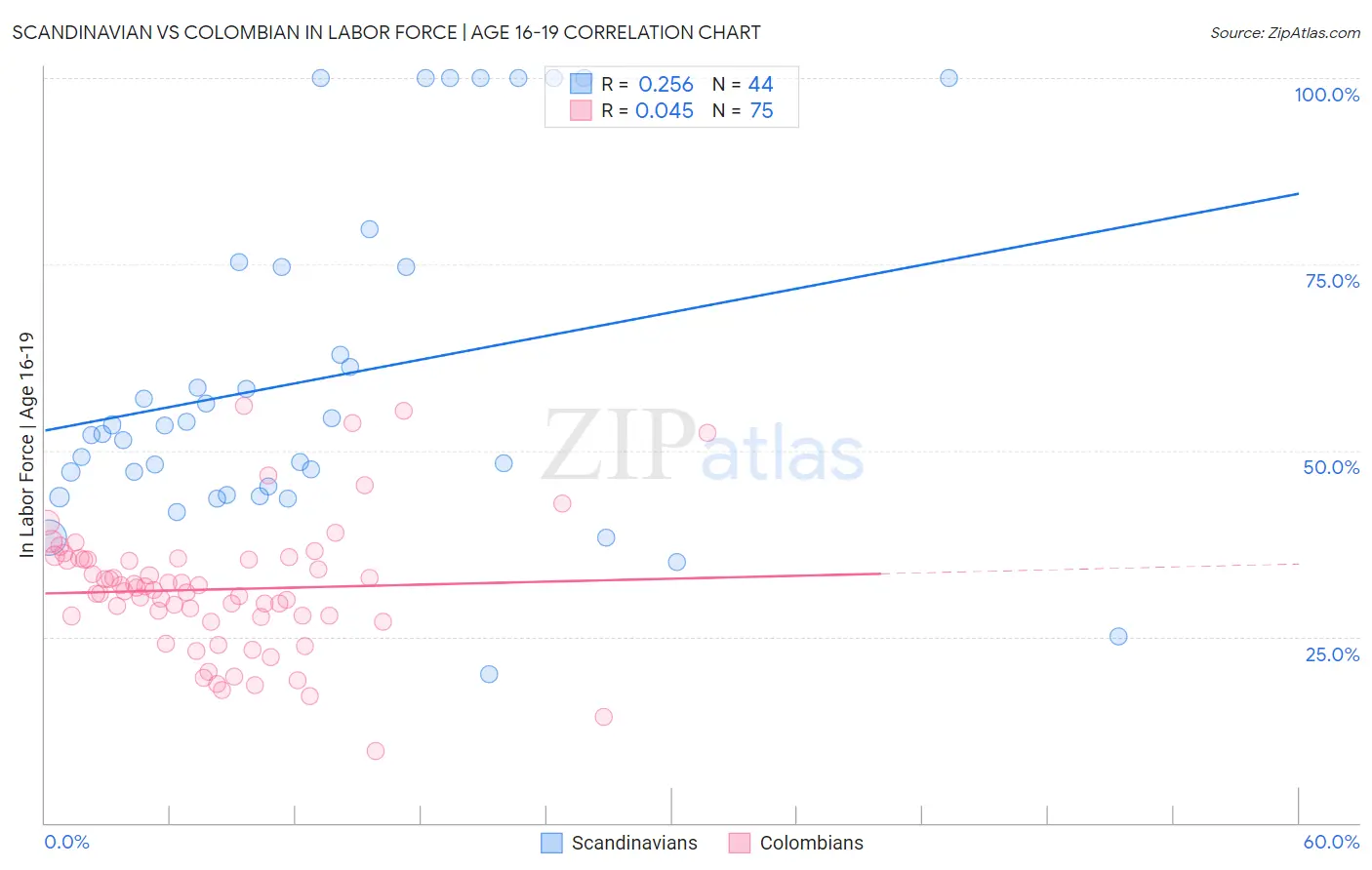 Scandinavian vs Colombian In Labor Force | Age 16-19