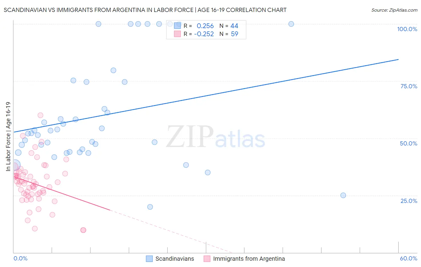 Scandinavian vs Immigrants from Argentina In Labor Force | Age 16-19